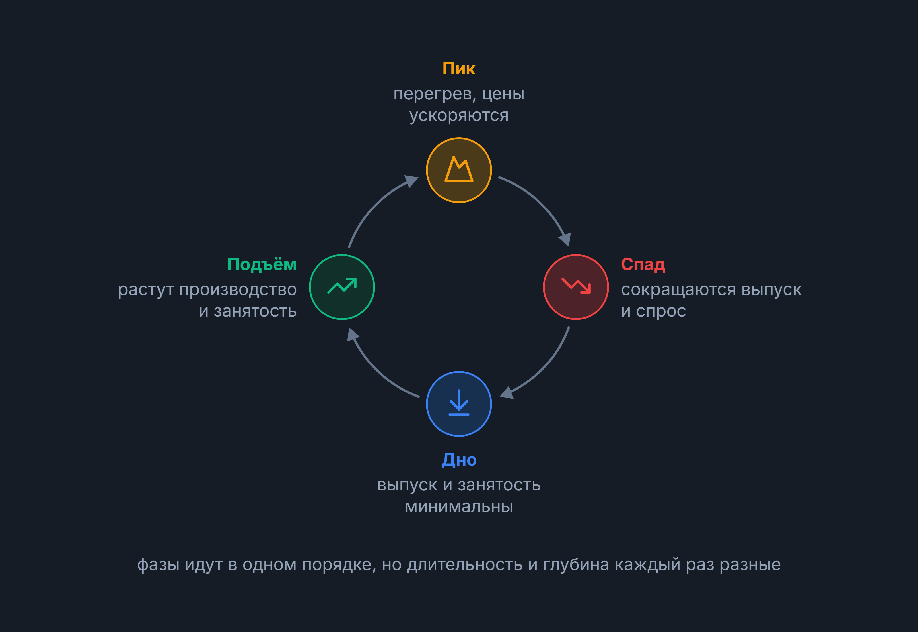 Экономический цикл: четыре фазы по кругу — подъём, пик, спад и дно — со стрелками перехода