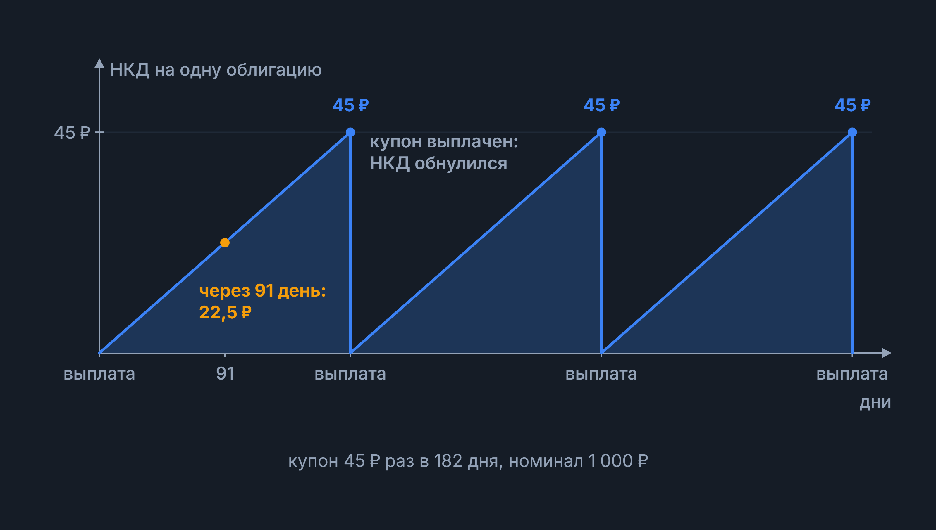 НКД: пилообразный рост НКД от нуля до 45 ₽ между выплатами купона, через 91 день 22,5 ₽
